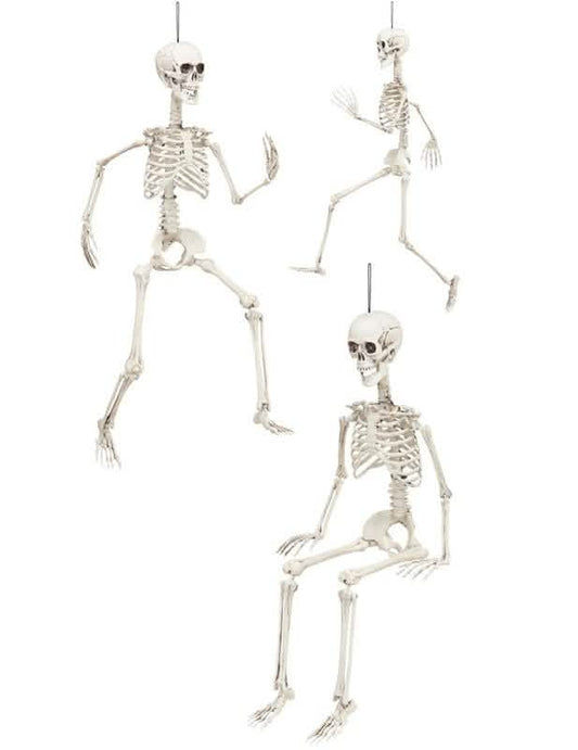 Différentes positions du squelette articulé Halloween