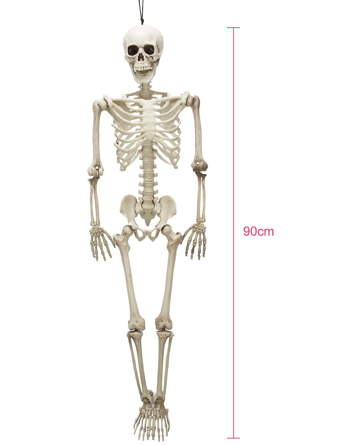 Pregled z merilom artikuliranega okostnjaka halloween