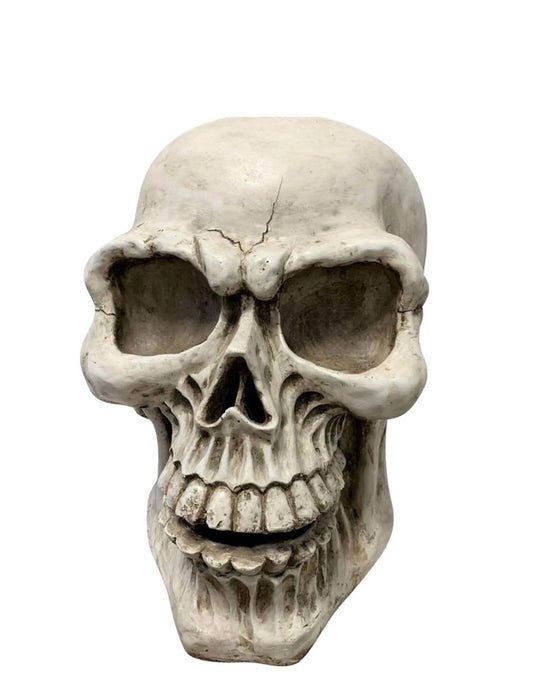 Vue de face de la tête de mort Halloween pour décoration