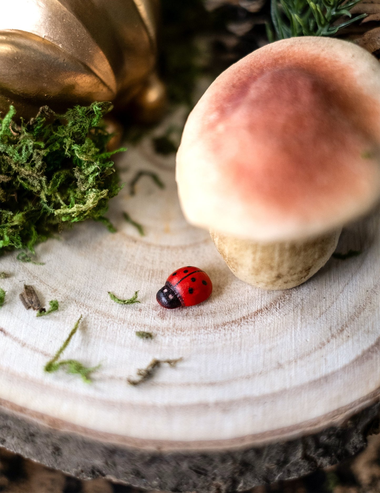 10 rdečih in črnih lesenih pikapolonic 1,5 cm za dekoracijo 