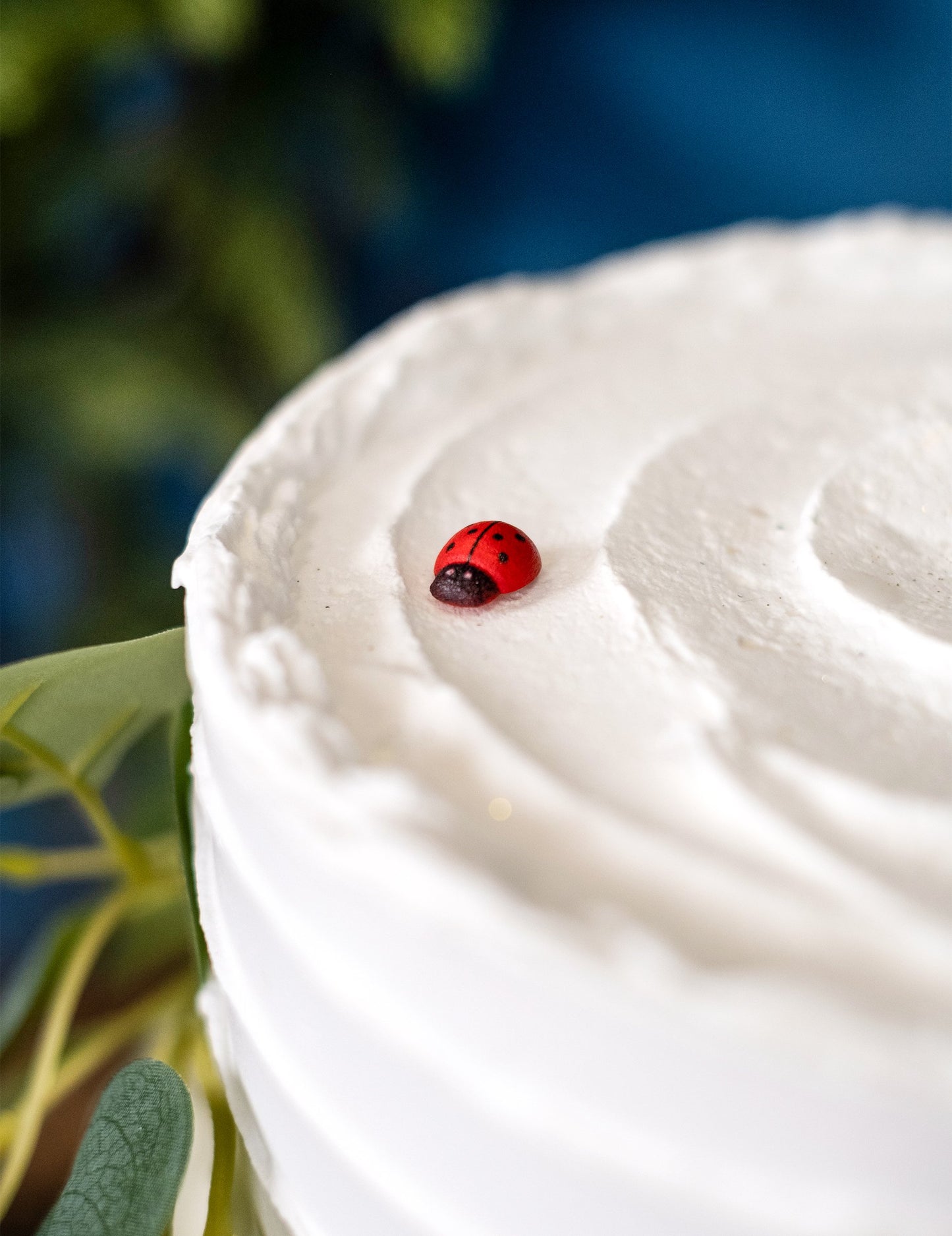 10 rdečih in črnih lesenih pikapolonic 1,5 cm za dekoracijo 