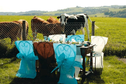 10 Premium prevlek za stole v barvi čokolade 50 x 95 cm 