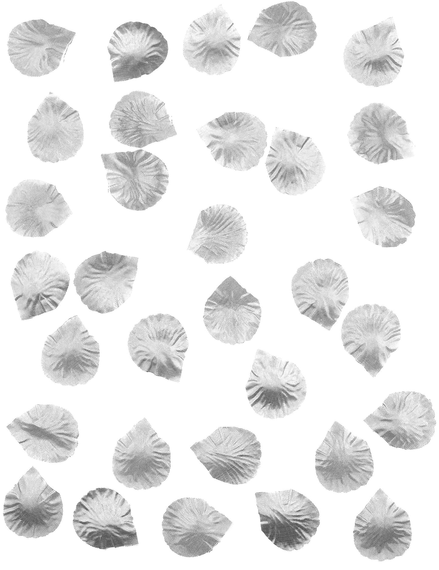 100 roza cvetnih listov v srebrni tkanini 5 x 5 cm