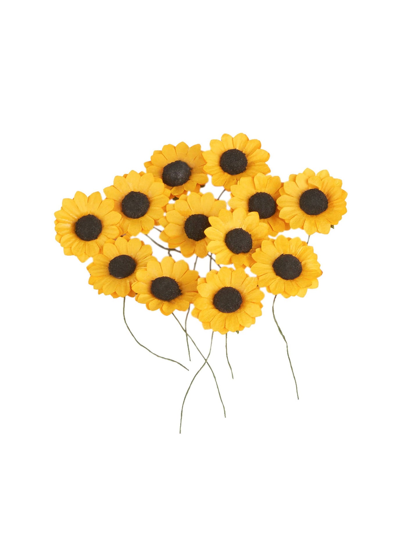 12 rumenih poljskih cvetov 2,5 cm tipa sončnic 