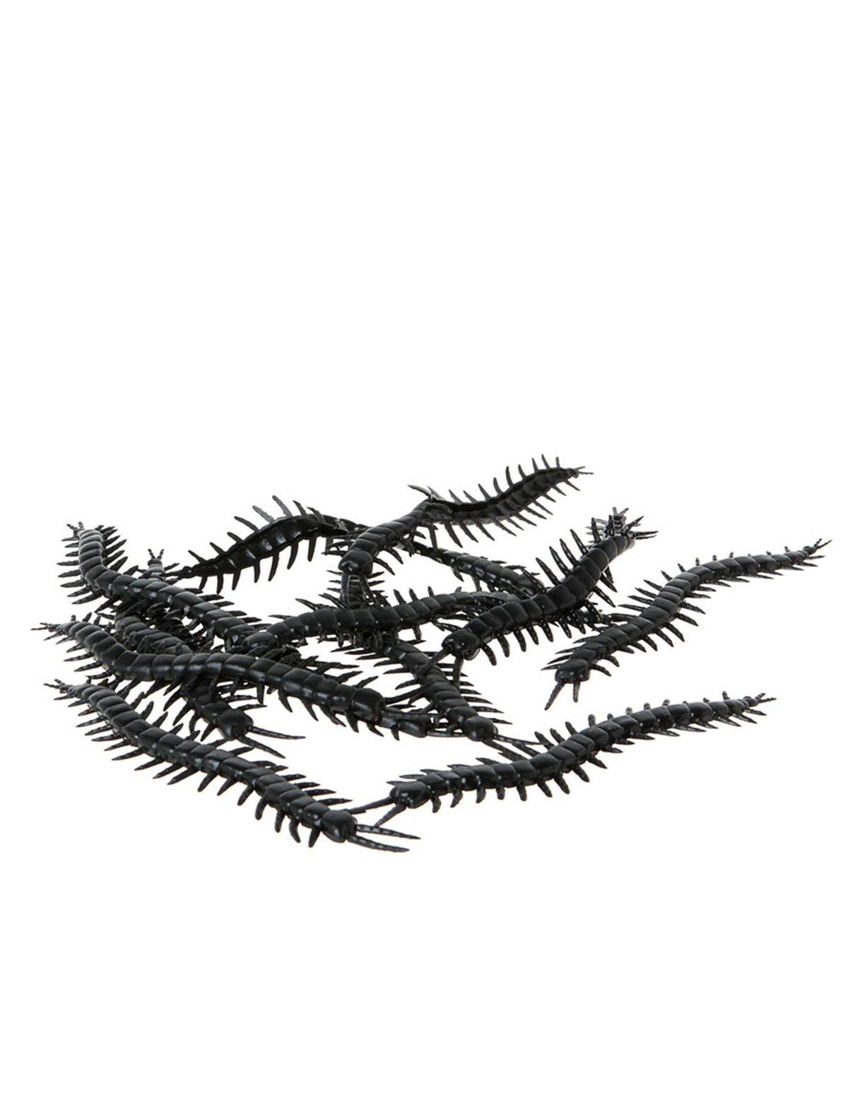Lot de 12 mille-pattes Halloween pour décoration noirs