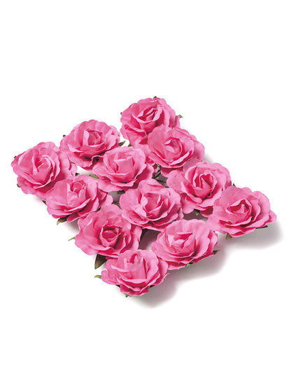 12 Fuchsia