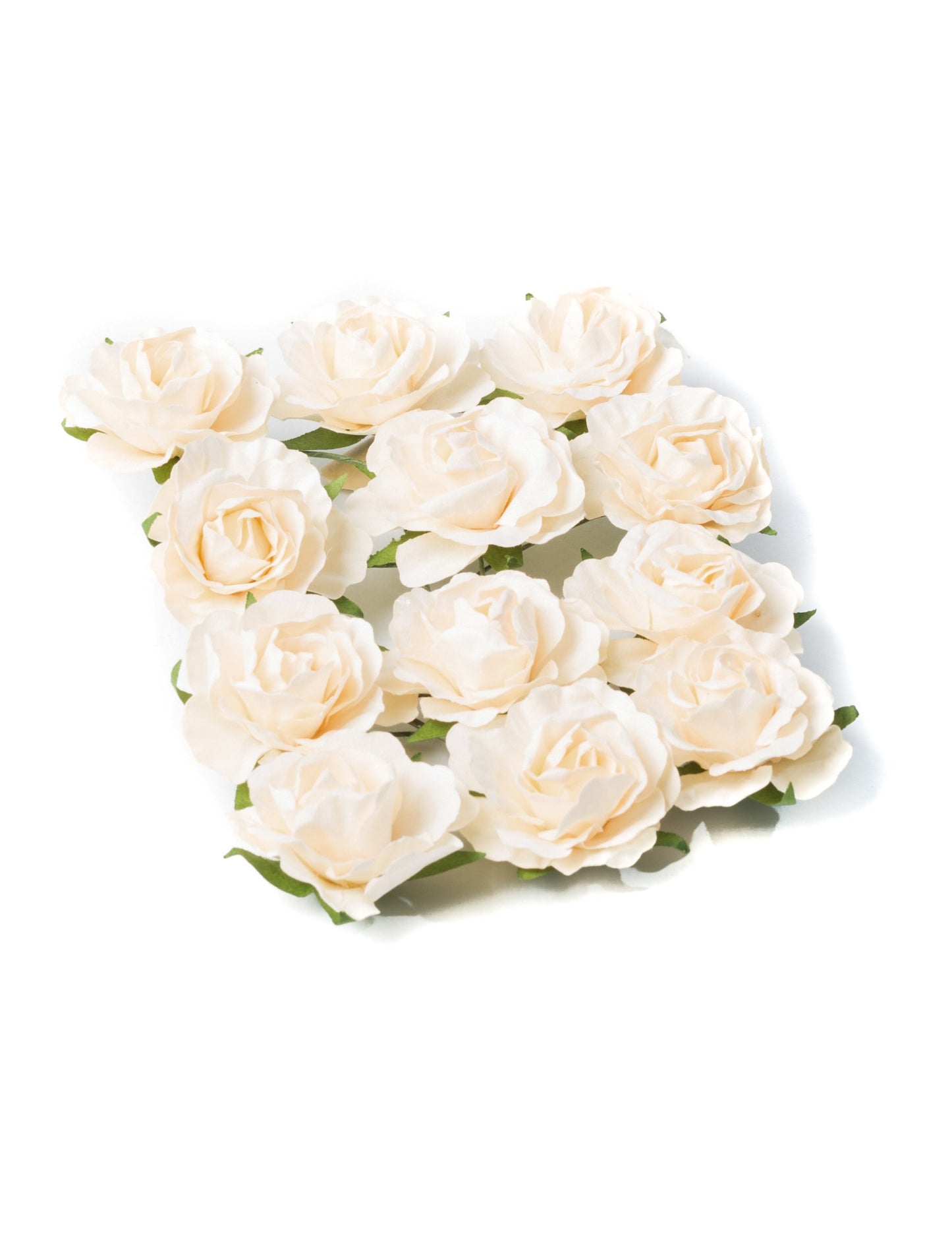 12 slonokoščenih vrtnic za vstavljanje 3,5 cm na fleksibilnem steblu