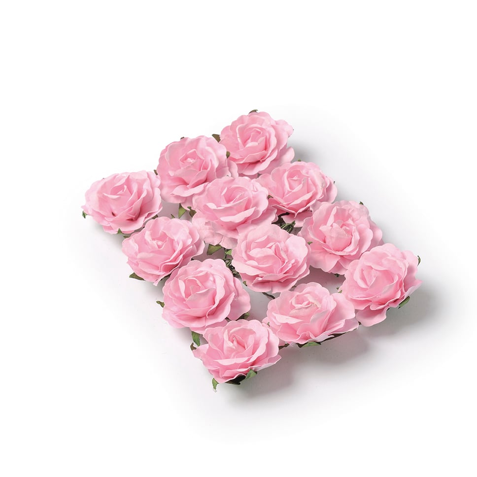 12 Rose roza vrtnice