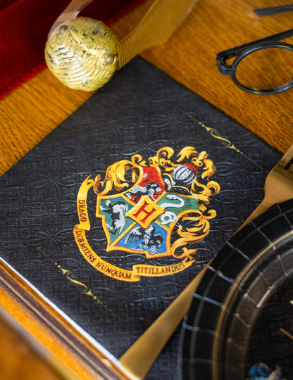 20 Harry Potter 33x 33 cm brisače Harry Potter