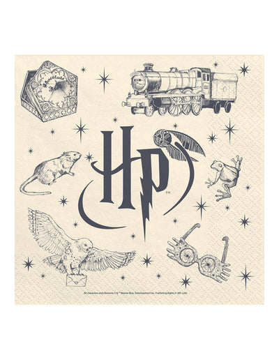 20 prtičkov Harry Potter™ 33 x 33 cm
