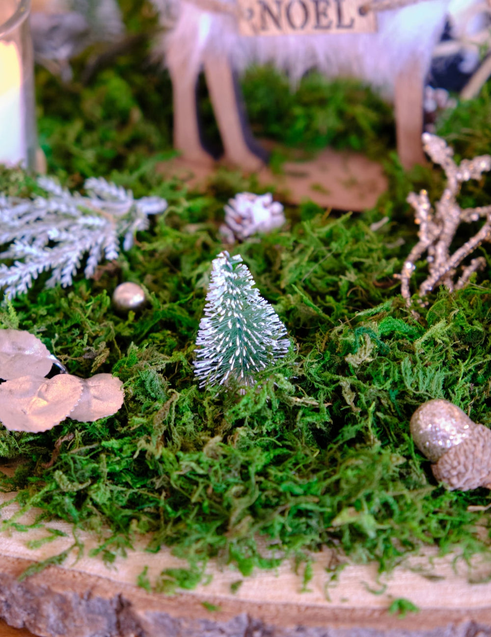 Mise en situation sur de la mousse des petits sapins artificiels de Noël pour décoration