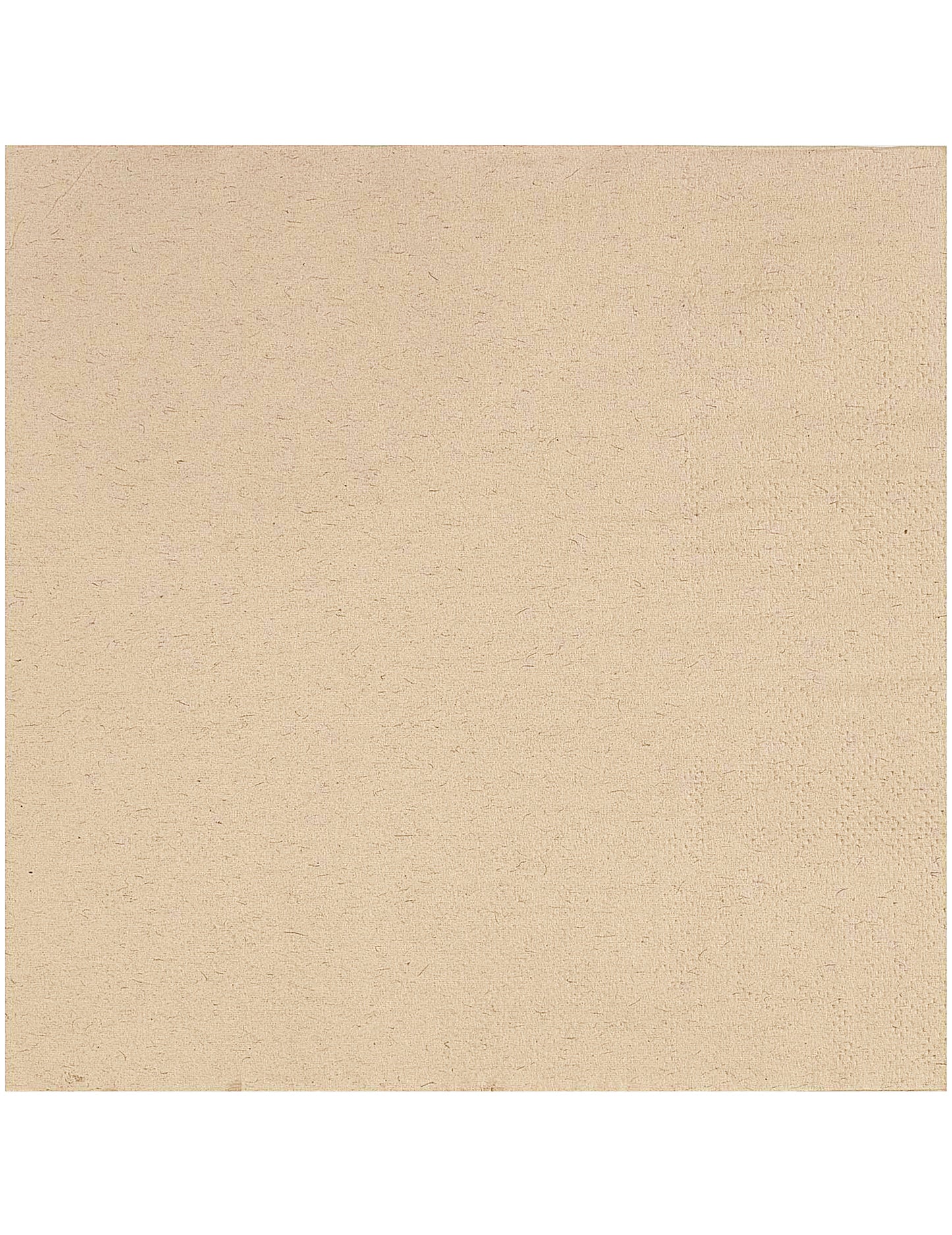 30 Kraft papirnate brisače 33 x 33 cm