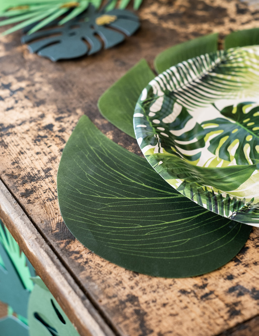 Détail de la texture des feuilles de Monstera pour décoration