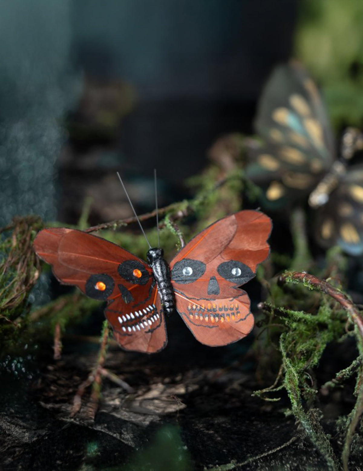 Mise en situation dans un décor de mousse du papillon tête de mort pour décoration