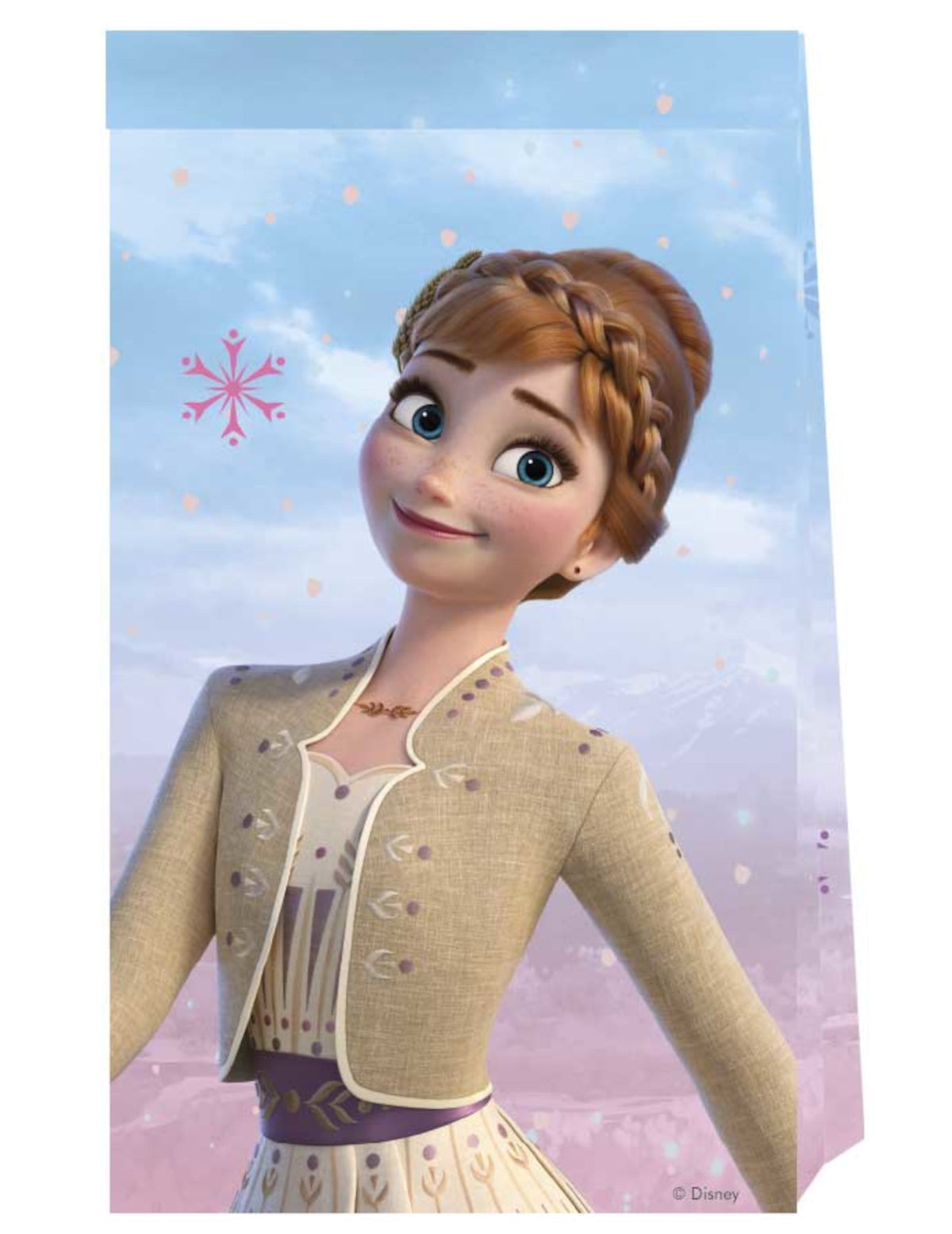 Sachets en papier La Reine des Neiges pour enfant bleu avec Anna