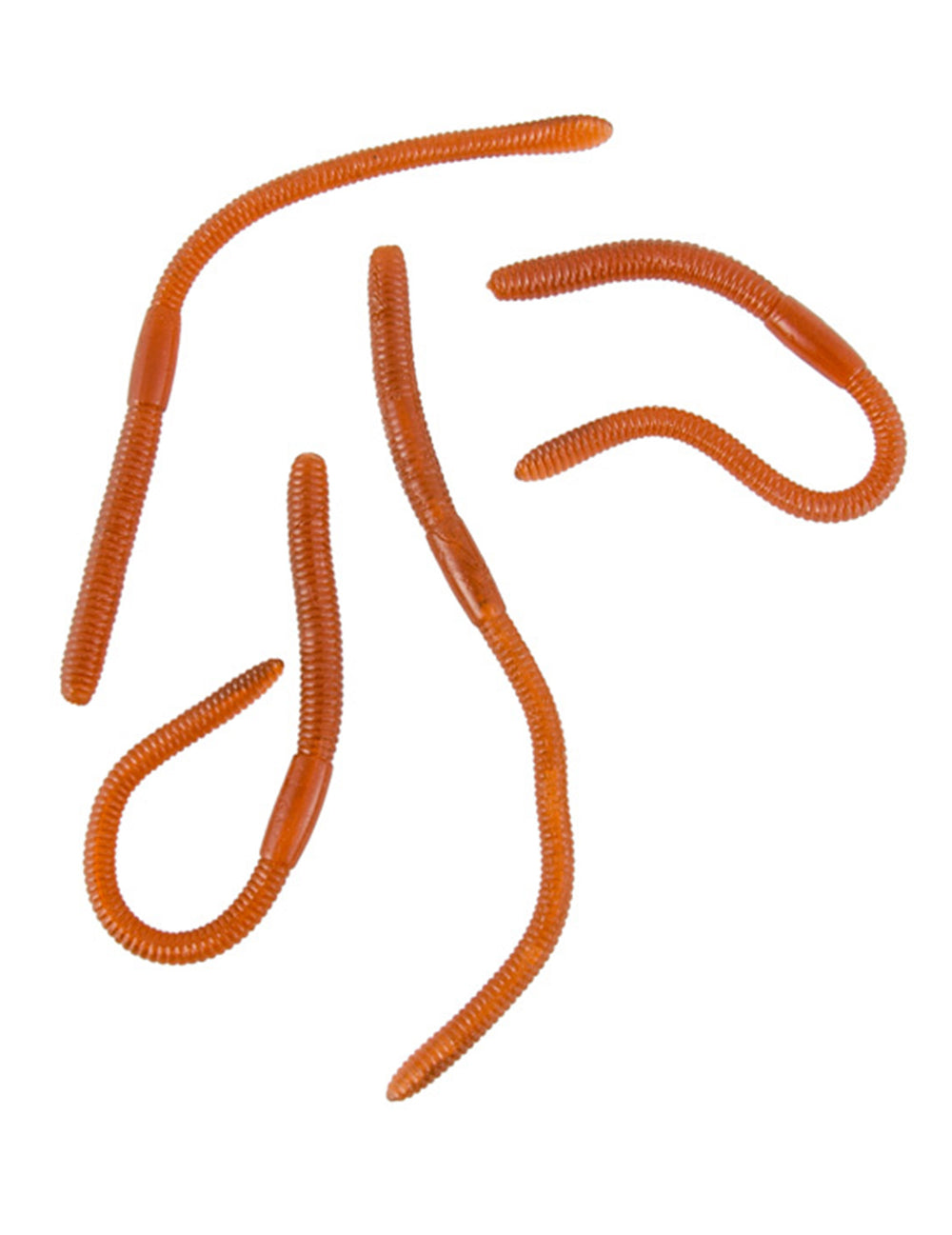 4 vers de terre gluants pour farce et attrape orange