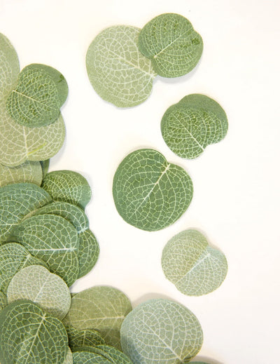 Confettis feuilles d'eucalyptus pour mariage nature en tissu vert