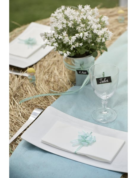 Mise en situation sur une serviette de table des minis nœuds pour décoration en organdi turquoise