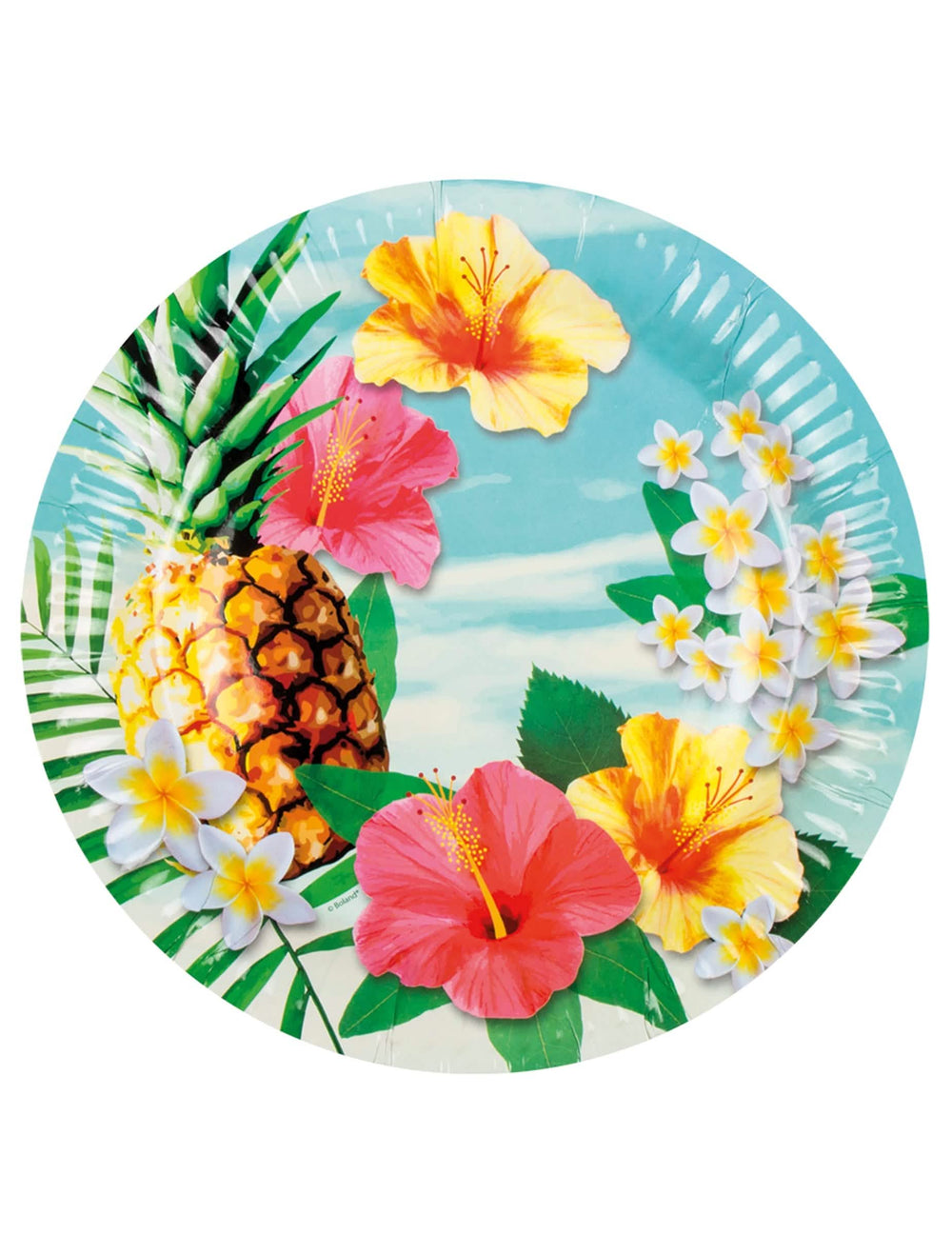Postavitev na okrašeni mizi s kartonskimi krožniki Hawaii party