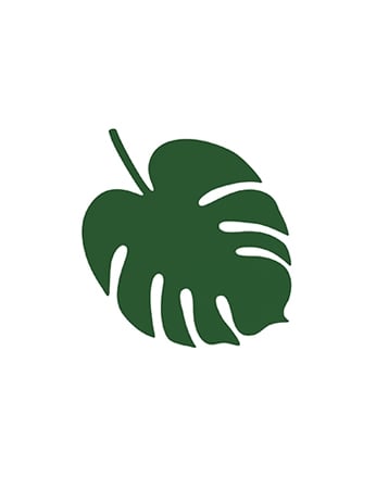 6 zelenih havajskih okraskov za mizo iz listov monstere