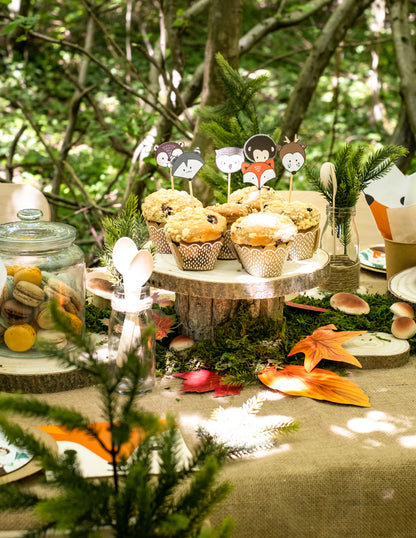 Moules à cupcake et pics en bois animaux forêt pour fête kraft et blanc