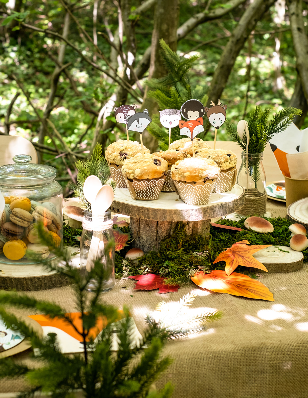 Moules à cupcake et pics en bois animaux forêt pour fête kraft et blanc