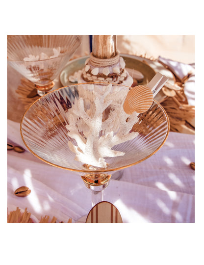 6 sponk iz smole v obliki školjk 4,5 cm beli les