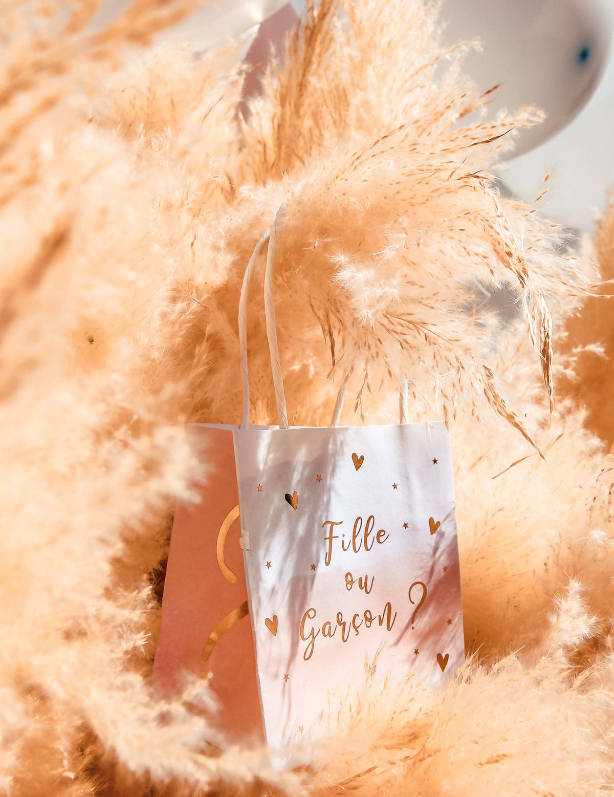 Mise en situation du sac cadeau fille ou garçon pour gender reveal