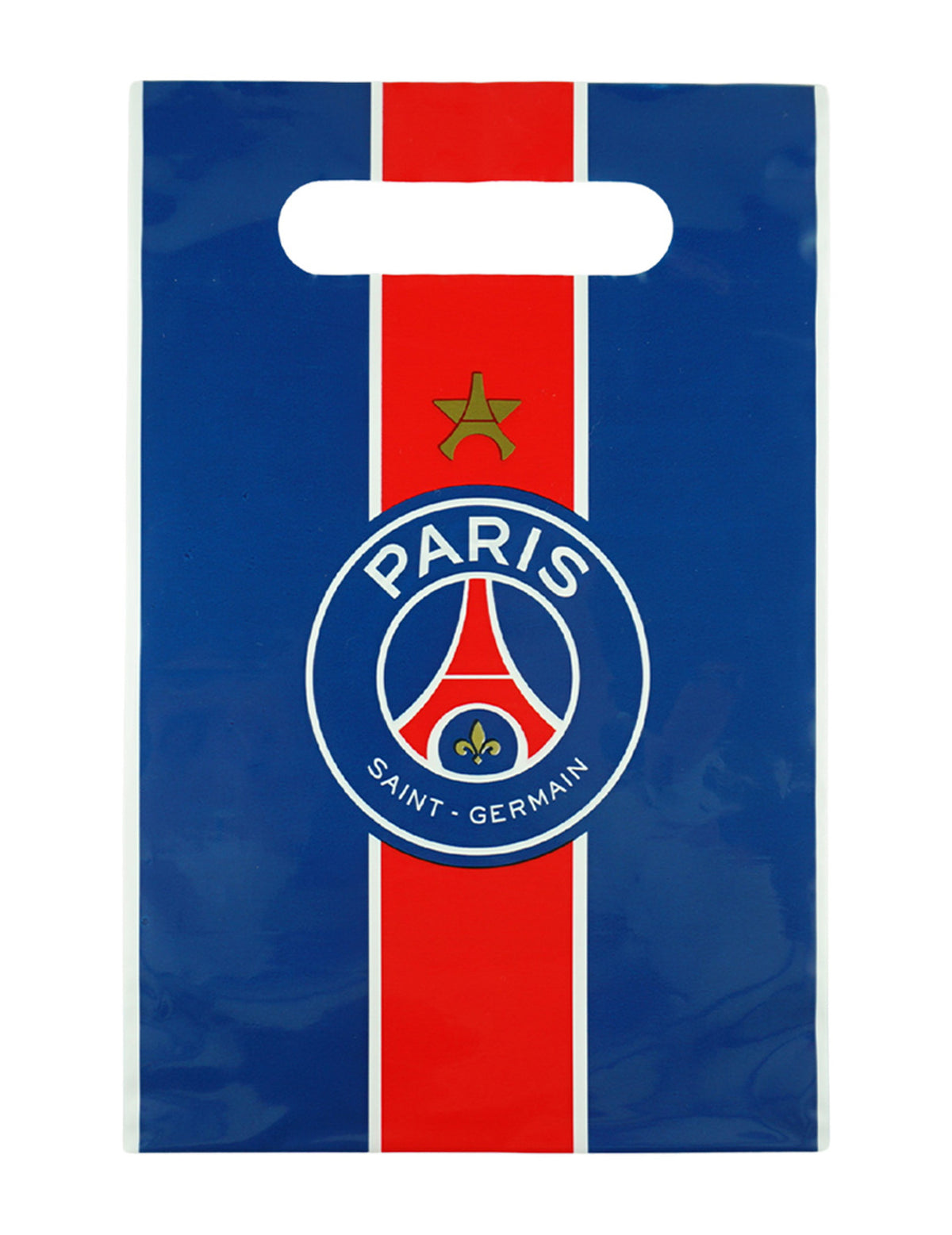 6 rojstnodnevnih vrečk PSG™ 23 x 15 cm