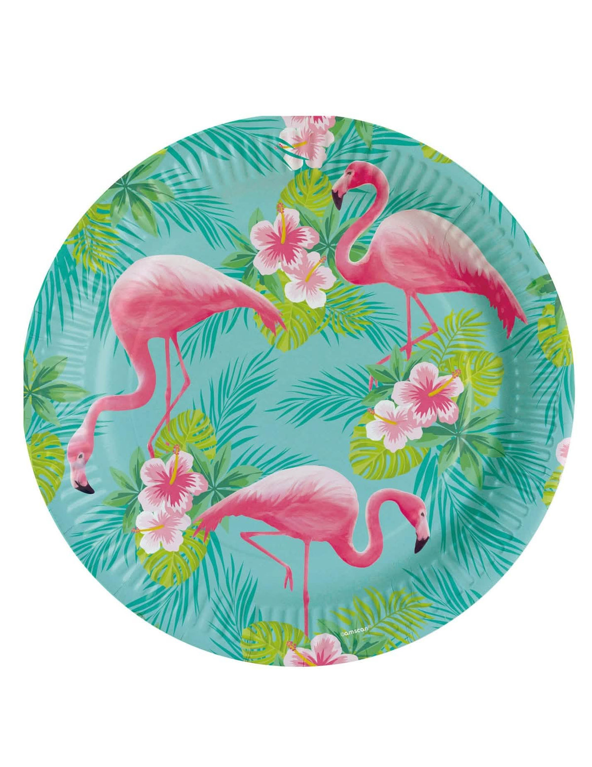 kartonski krožniki Flamingo Paradise tropski turkizen okras z rožnatimi flamingi in hibiskusi