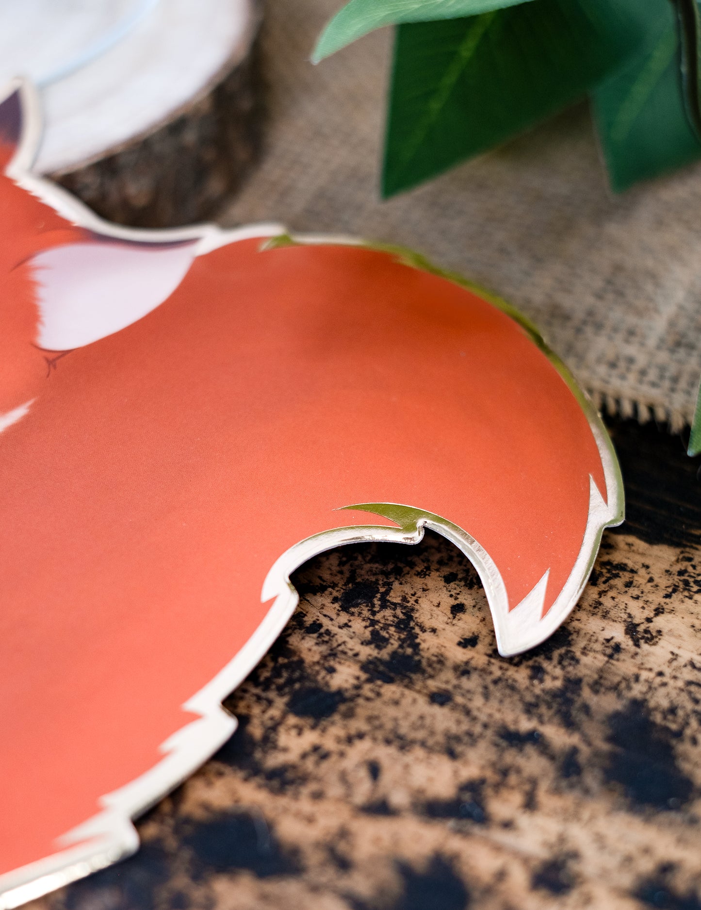 8 vabila za gozdne veverice 14 x 13 cm