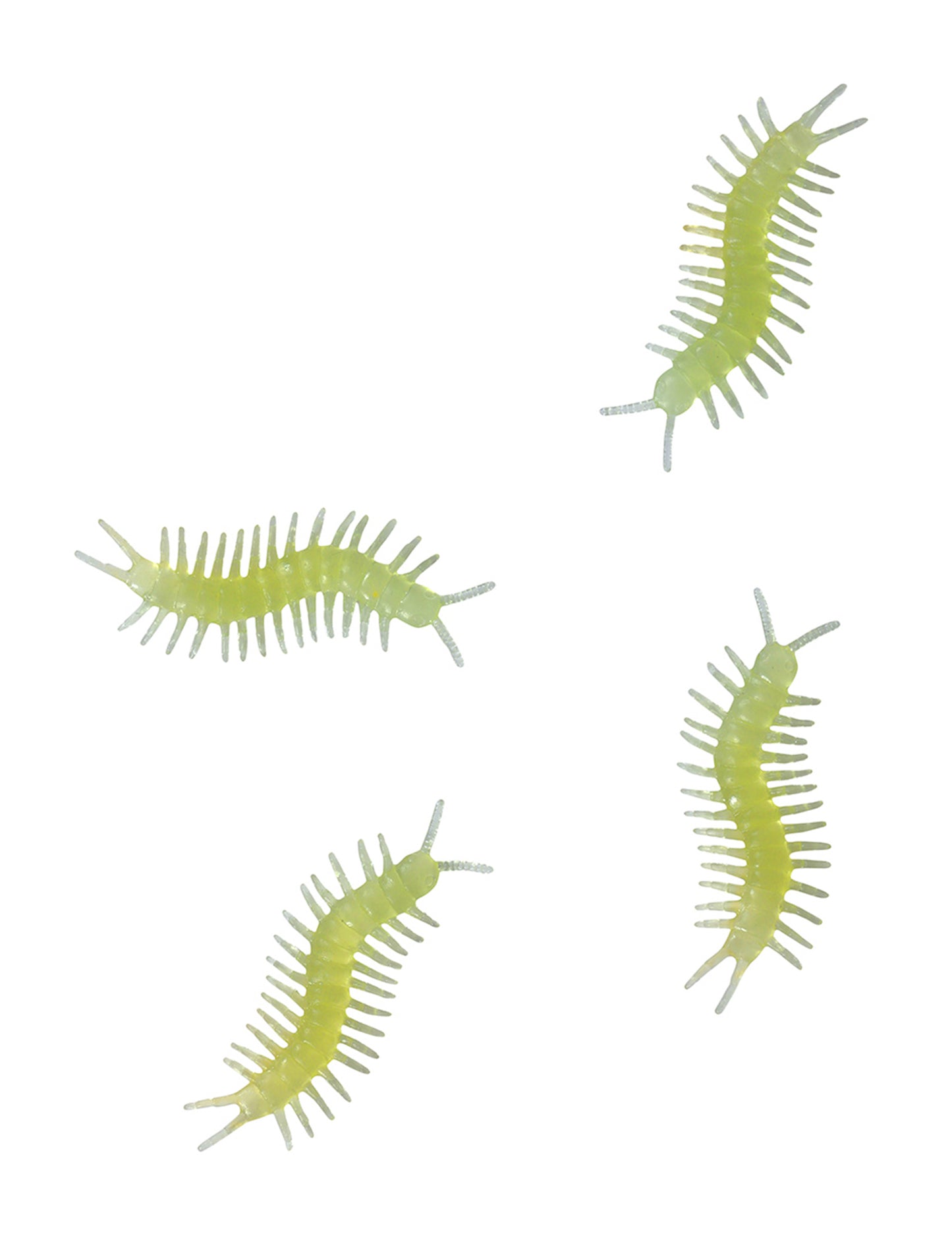 8 fosforescenčnih stonog 6 cm