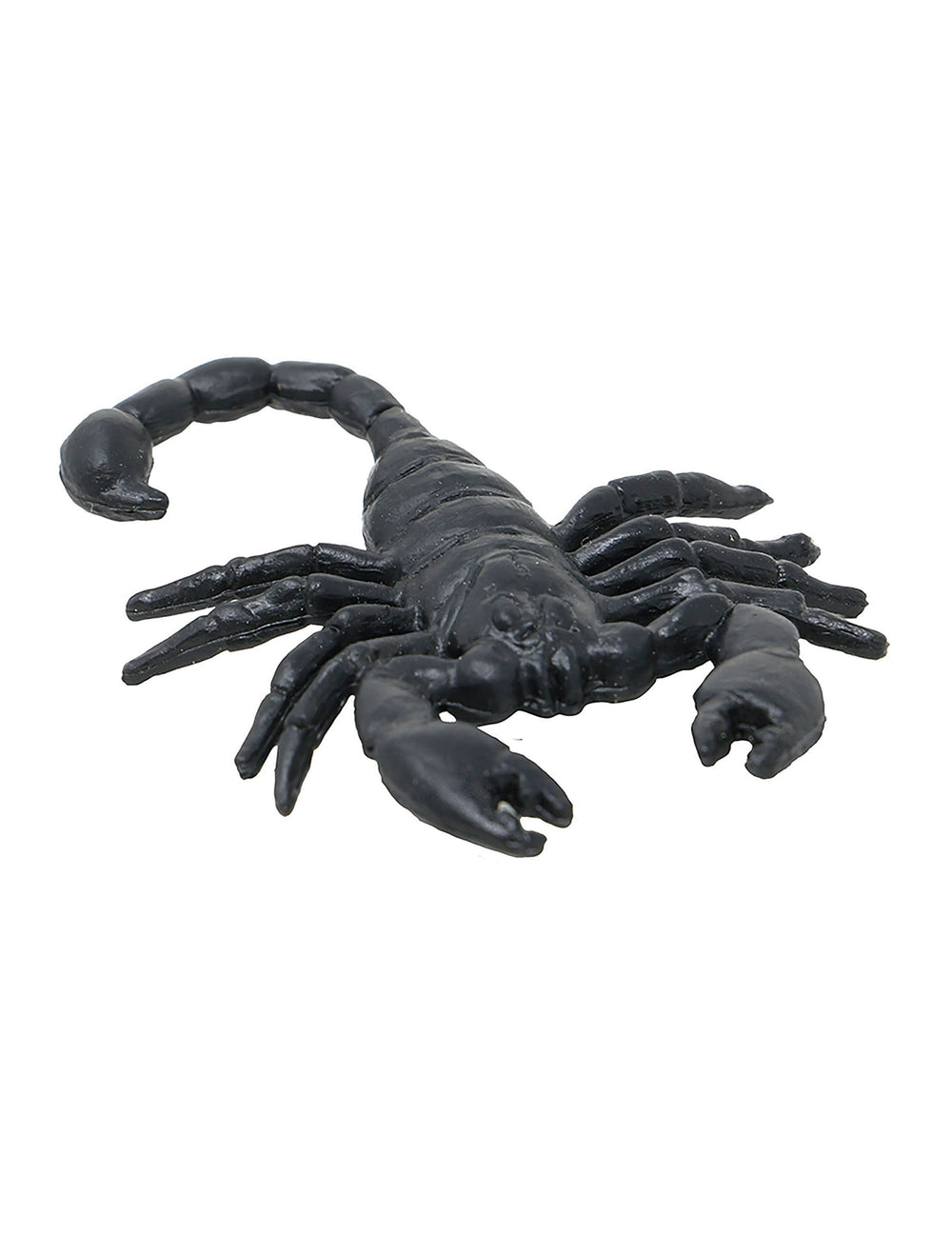 Gros plan d'un scorpion du lot de 8 scorpions pour Halloween