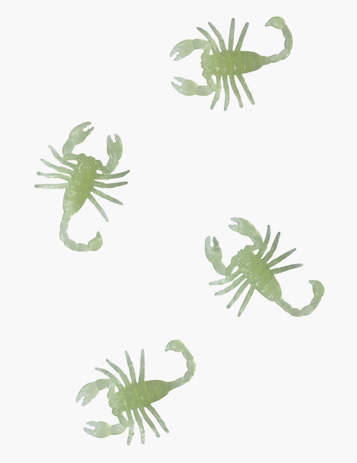 Vue de dessus du lot de 8 scorpions phosphorescents pour décoration d'Halloween