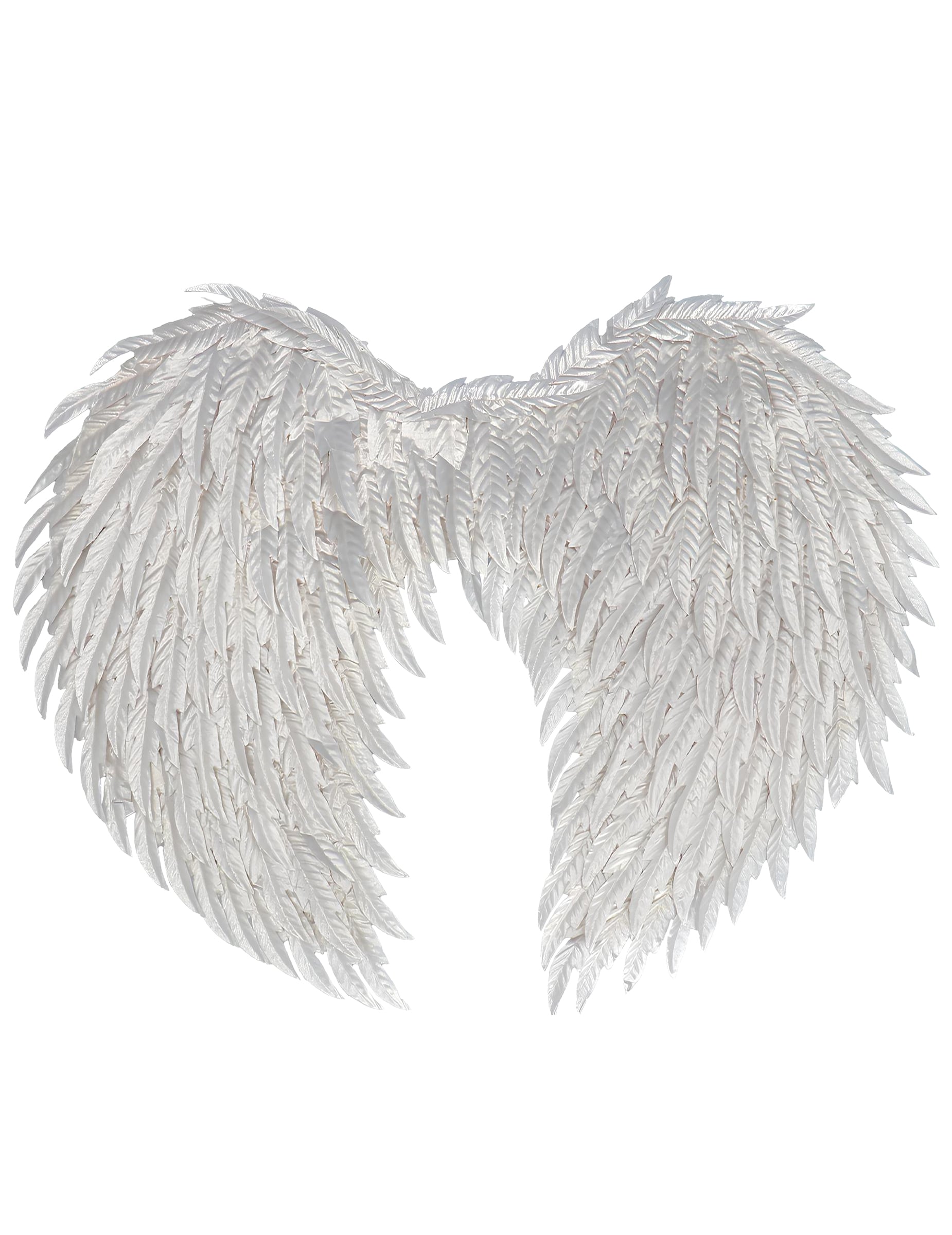 Vue de dos des ailes d'ange glamour