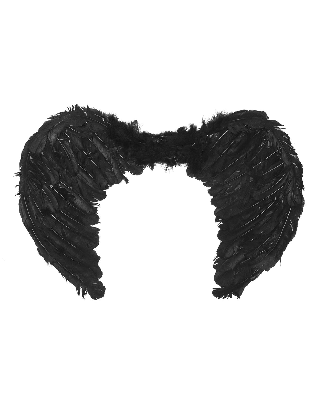 Vue de face des ailes d'anges noires