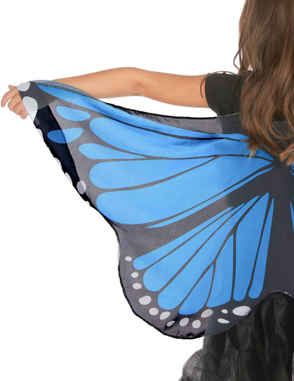 Modra in črna krila metulja