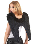 Halloween Ailes Noires