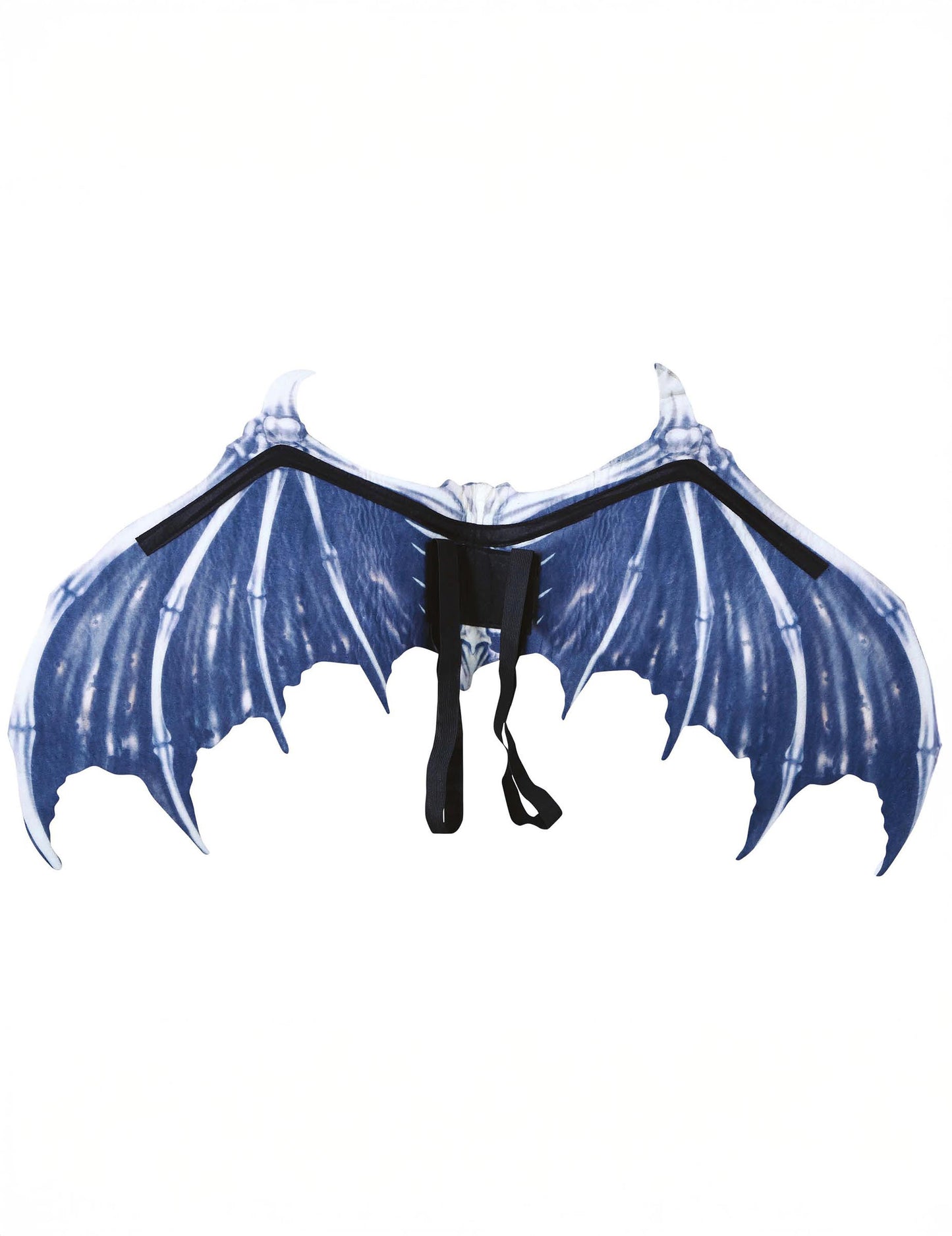 Krila okostja odraslega netopirja