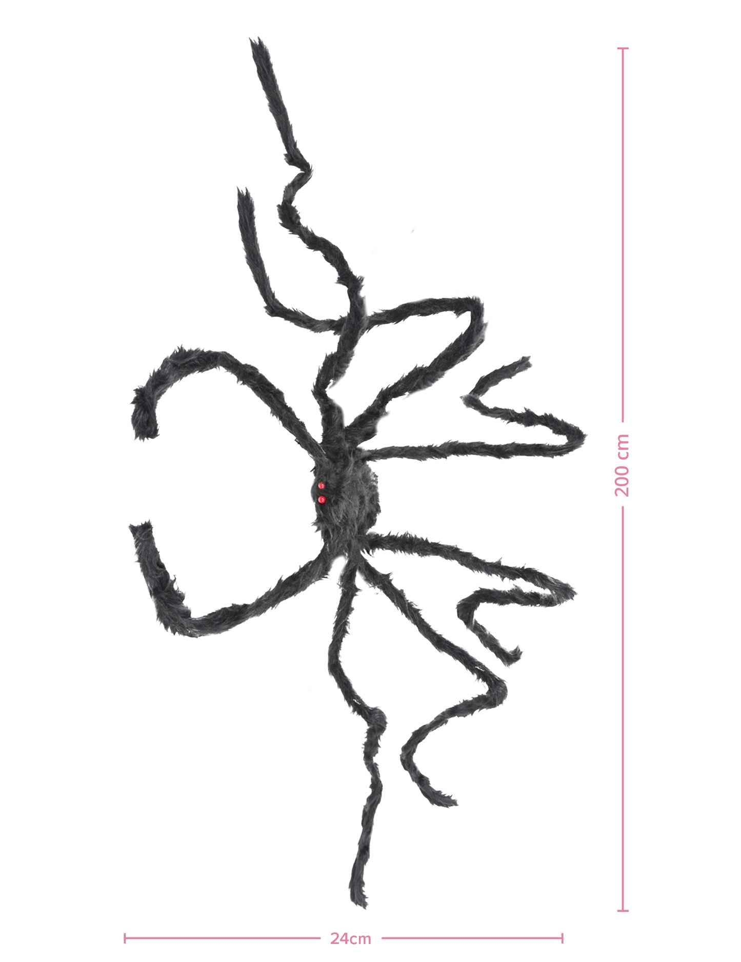Črni dlakavi orjaški pajk 2 m x 24 cm