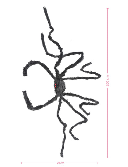 Črni dlakavi orjaški pajk 2 m x 24 cm