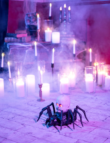 Velik pajek z živahno in svetlo plazečo lutko 19 x 33 cm