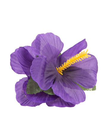 Havajski vijolični cvetlični bar