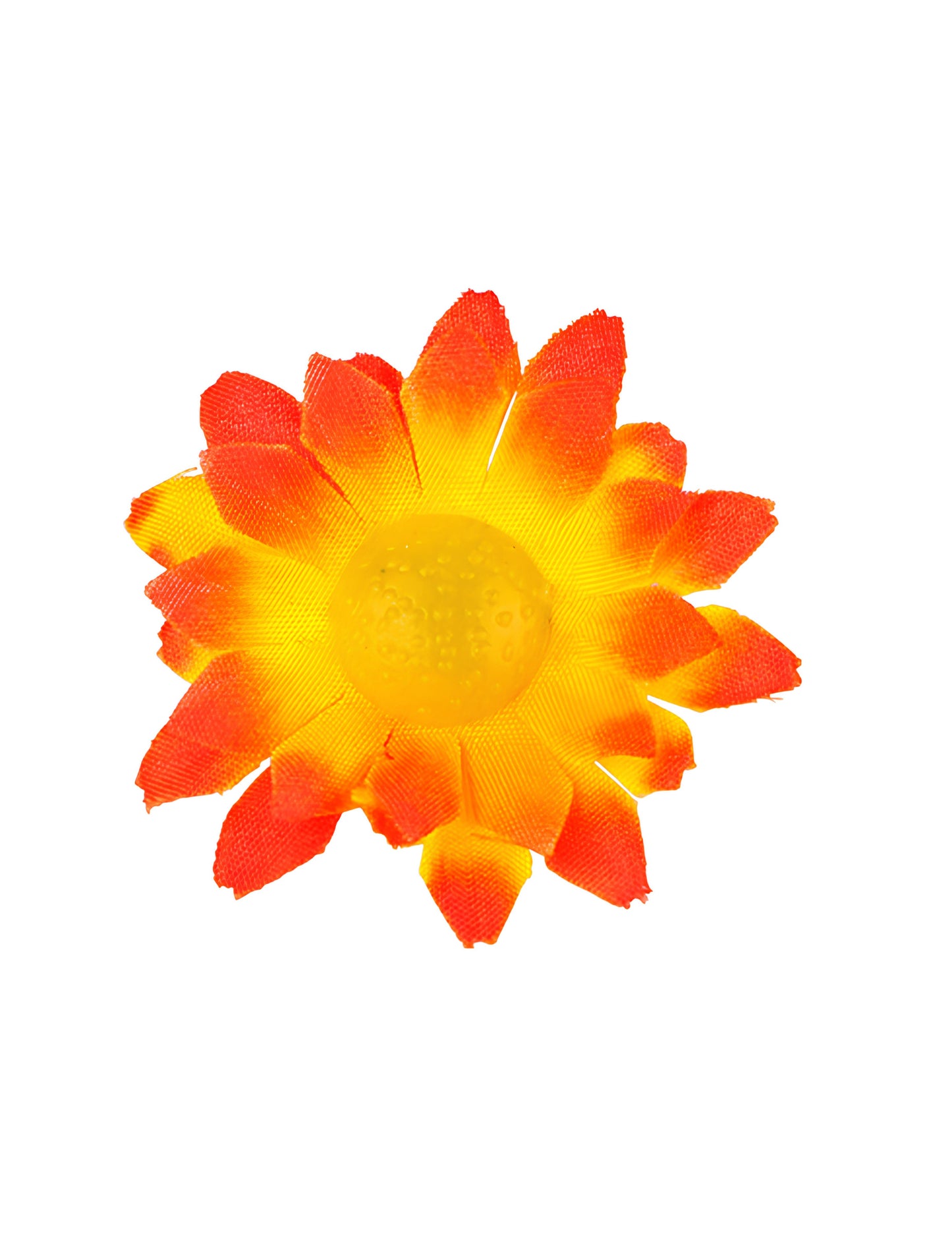 Škatla 20 oranžno rumenih rož marjetice