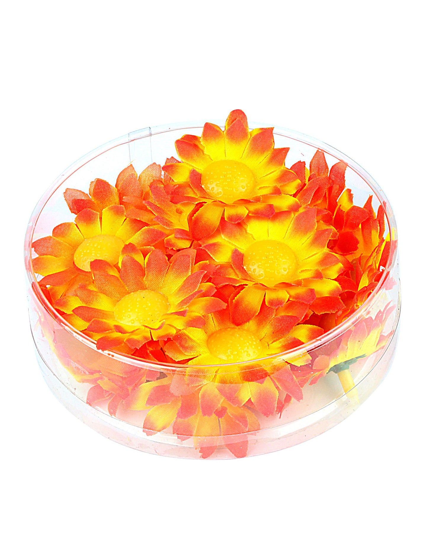 Škatla 20 oranžno rumenih rož marjetice