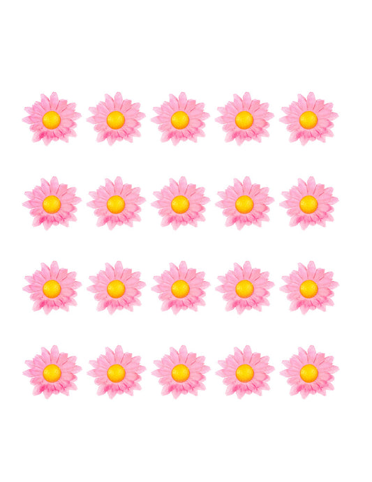 Vue d'ensemble des pièces de la boîte de 20 fleurs marguerite rose clair