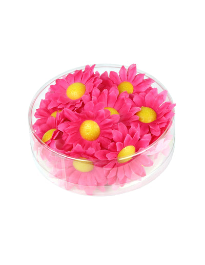 Boite de 20 fleurs marguerites pour décoration rose