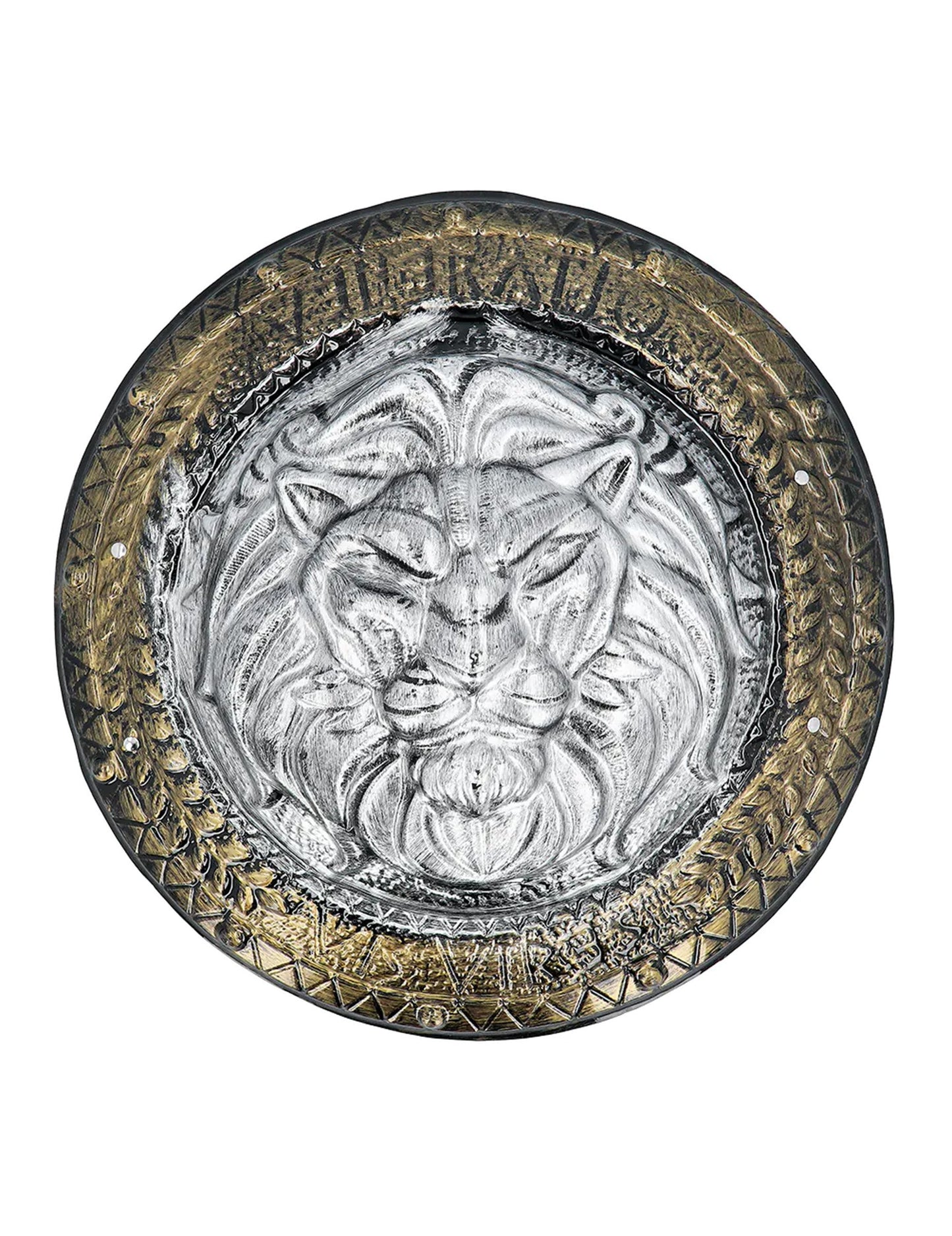 SHIELD IN GLADIJALNI BOJSKI MEČ