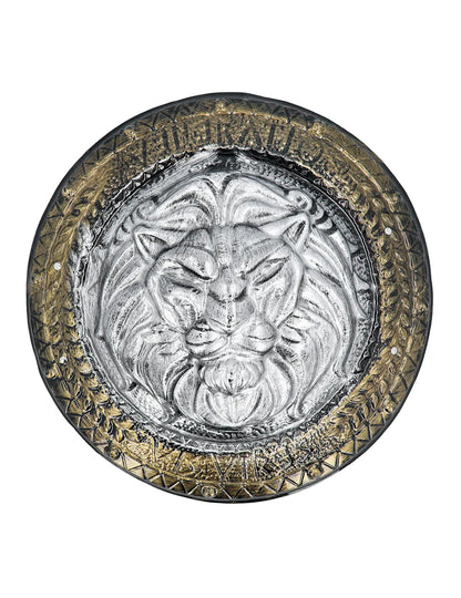 SHIELD IN GLADIJALNI BOJSKI MEČ