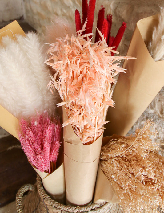 Gros plan sur les épis du bouquet d'avoine séché décoration bohème